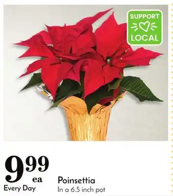 Pavilions Poinsettia offer