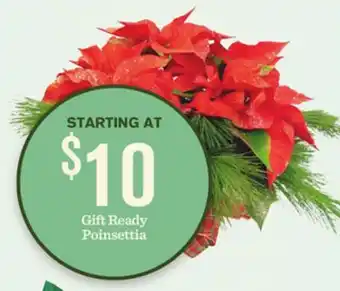 Mariano's Gift ready poinsettia offer