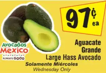 El Super Large hass avocado offer