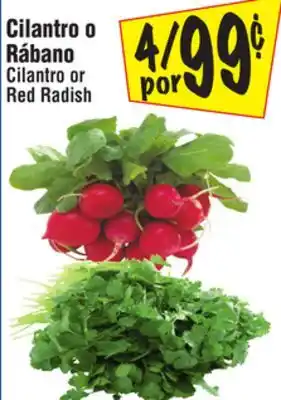 El Super Cilantro or red radish offer