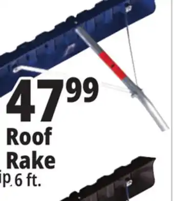 Ocean State Job Lot Roof rake offer