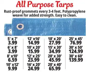 Ocean State Job Lot All-purpose tarps offer