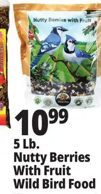 Ocean State Job Lot 5 lb. nutty berries with fruit wild bird food offer