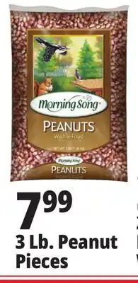 Ocean State Job Lot 3 lb. peanut pieces offer