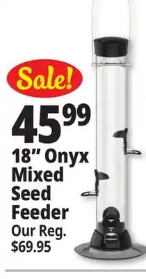 Ocean State Job Lot 18 onyx mixed seed feeder offer