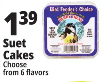 Ocean State Job Lot Bird feeder's choice high energy suet, 11 oz offer