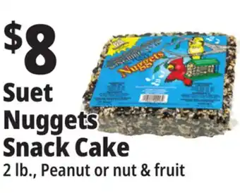Ocean State Job Lot C&s fruit and nut snak with berry suet nuggets, 36 oz offer