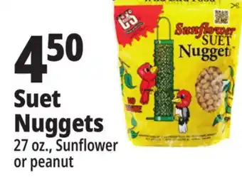 Ocean State Job Lot Suet nuggets offer