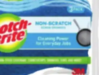 Ocean State Job Lot No scratch sponges offer