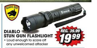 Big 5 Diablo Stun Gun Flashlight offer