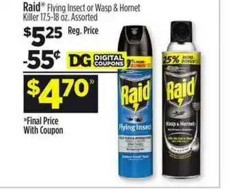 Dollar General Raid Flying Insect Or Wasp & Hornet Killer offer