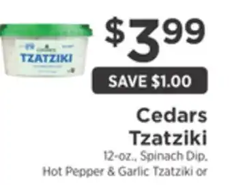 ShopRite Tzatziki offer