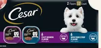 Target Cesar filets in gravy wet dog food offer