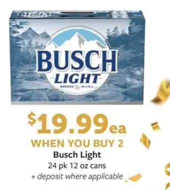 Fareway Busch Light offer