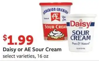 Fareway Daisy or AE Sour Cream offer