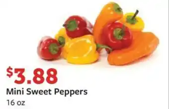 Fareway Mini Sweet Peppers 16 oz offer
