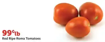 Fareway Red Ripe Roma Tomatoes offer