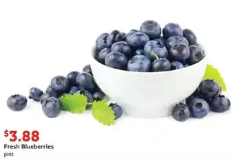 Fareway Fresh Blueberries offer