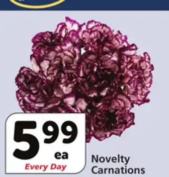 Vons Novelty carnations offer