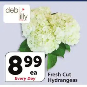 Vons Fresh cut hydrangeas offer