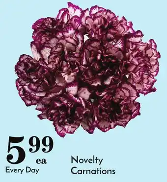Pavilions Novelty carnations offer