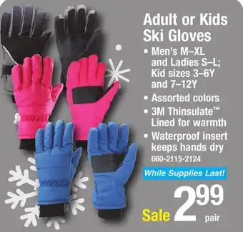 Menards Adult or kids ski gloves offer
