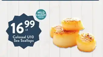 Fresh Thyme Colossal u10 sea scallops offer