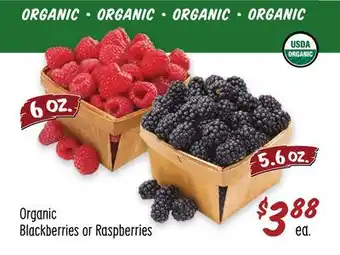Sprouts Farmers Market Organic blackberries or raspberries offer