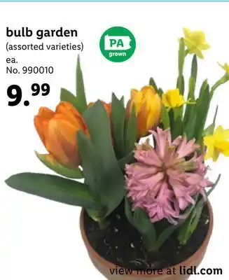 Lidl Bulb garden offer