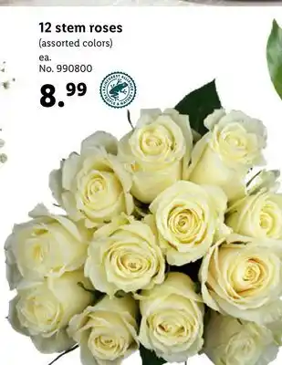 Lidl 12 stem roses offer