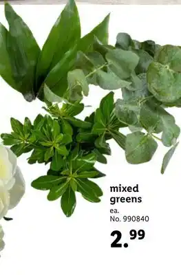 Lidl Mixed greens offer