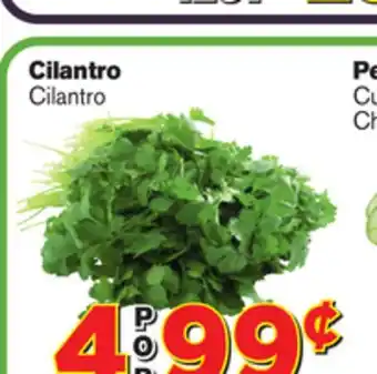 El Super Fresh Cilantro offer