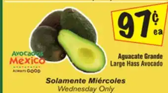 El Super Large hass avocado offer