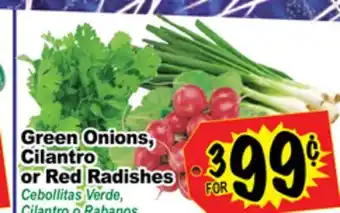 Superior Grocers Green onions, cilantro or red radishes offer
