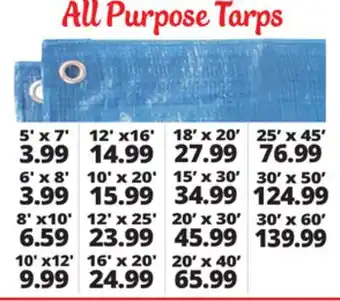 Ocean State Job Lot Tarps offer