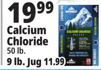 Ocean State Job Lot Calcium chloride offer