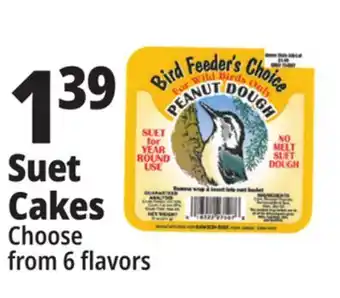 Ocean State Job Lot Bird feeder's choice high energy suet, 11 oz offer