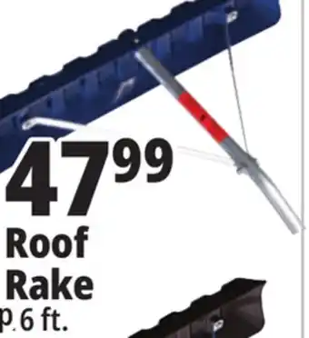 Ocean State Job Lot Roof rake offer