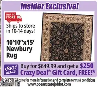 Ocean State Job Lot 10'10x15' newbury rug offer