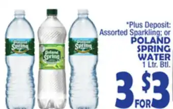 Bravo Supermarkets Poland spring water offer