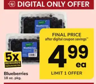 ACME Blueberries offer