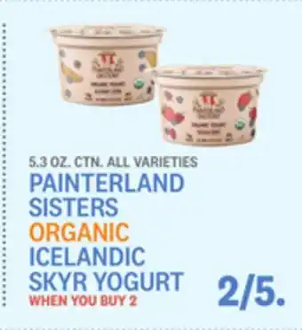 Kings Food Markets Painterland sisters organic icelandic skyr yogurt offer