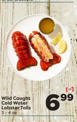 Weis Markets Wild caught cold water lobster tails offer