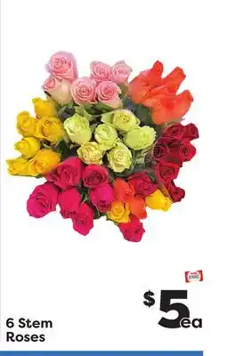 Weis Markets 6 stem roses offer