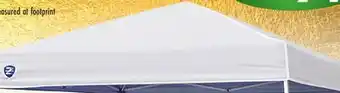 Big 5 Z-shade odyssey 10' x 10' slant leg instant canopy offer