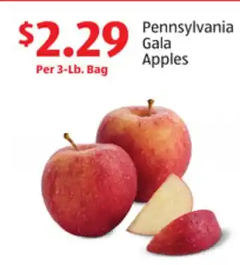 Aldi Pennsylvania gala apples offer