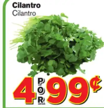 El Super Fresh Cilantro offer