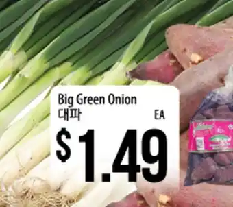 Hmart Big green onion offer