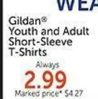 Hobby Lobby Gildan youth and adult short-sleeve t-shirts offer