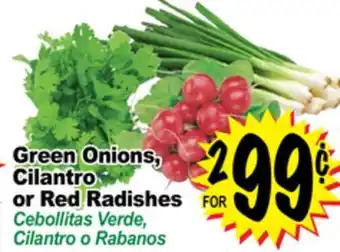 Superior Grocers Green onions, cilantro or red radishes offer
